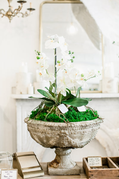 Creating A Spring-Inspired Orchid Arrangement
