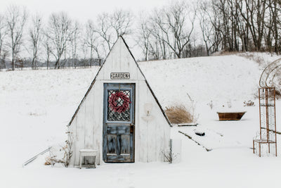 Winter At The Greenhouse