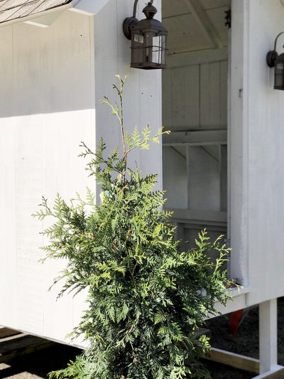 The Farmhouse Chicken Coop Making