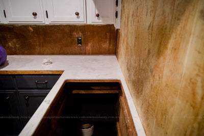 Lakehouse Renovation Progress:: Part III