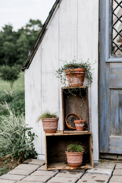 The Flower Garden- Greenhouse Before/After