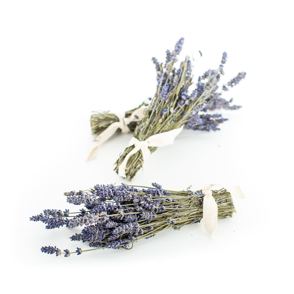 Dried Lavender Bunches — Narnia Studios — American Made Treasures in  Hendersonville NC