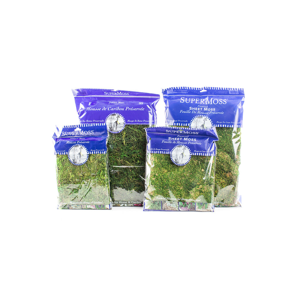 Super Moss: Sheet / Forrest Moss – Cottonwood Shanty